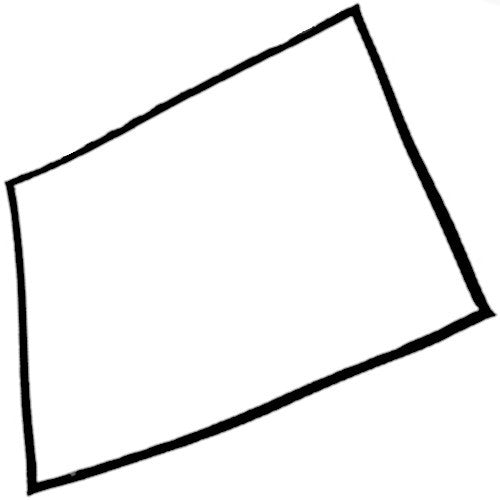 New World C00152985 Genuine Main Oven Door Seal